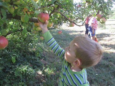 Learning Together Inc